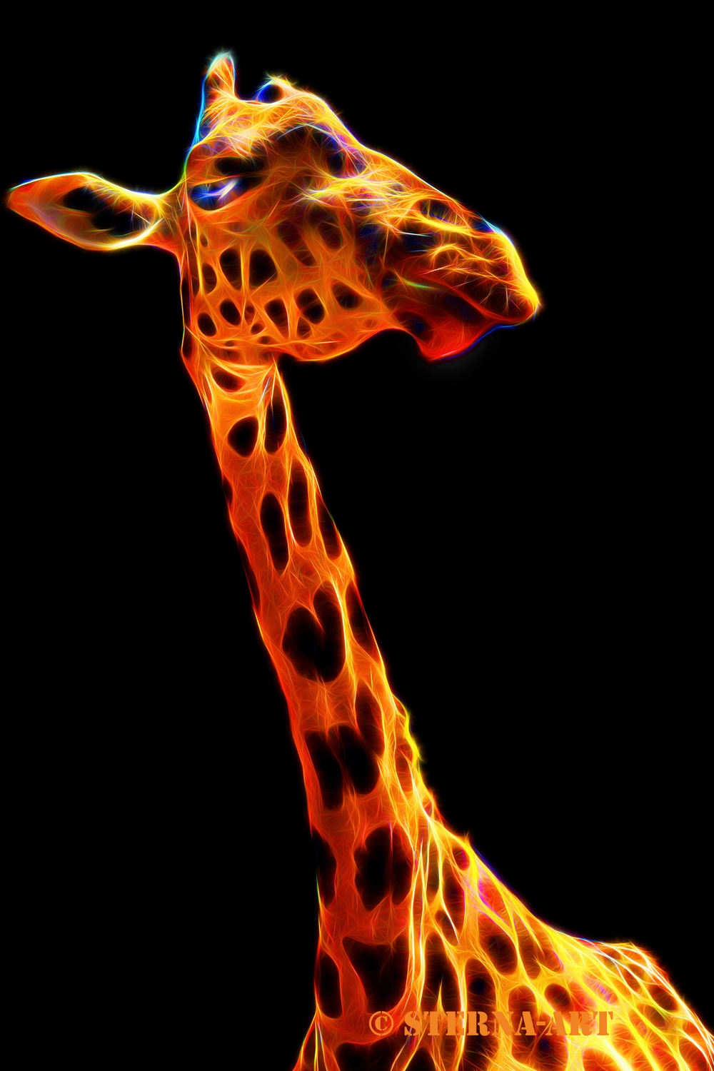 Achim Sterna - Fotografie - Digitale Kunst einer Giraffe mit leuchtenden, feurigen orangefarbenen und gelben Highlights auf schwarzem Hintergrund.