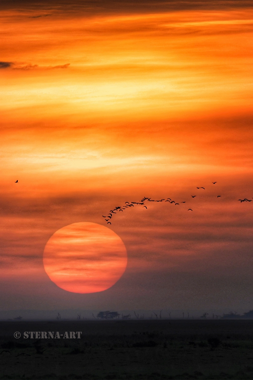 Achim Sterna – Fotografie – Große orangefarbene Sonne geht über einer dunklen Landschaft unter, Vögel fliegen über einen orangefarbenen Himmel